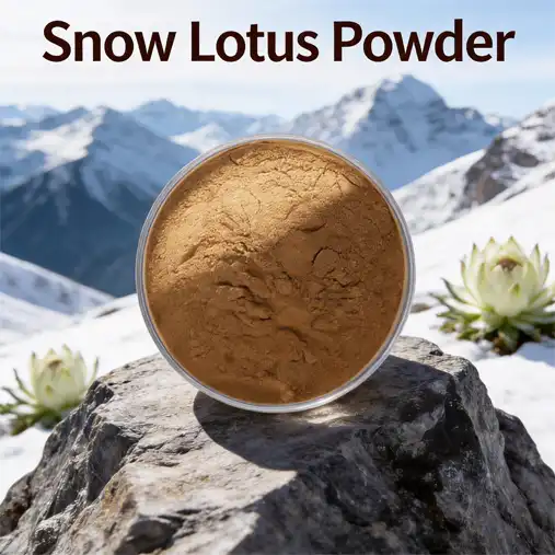 Snow Lotus Powder Benefits for Food and Nutraceutical Brands